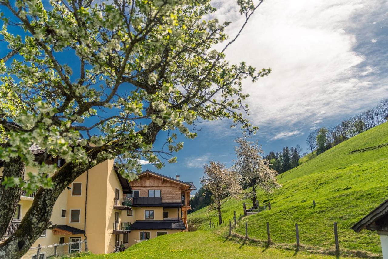 Hotel Starchlhof Шладминг Экстерьер фото